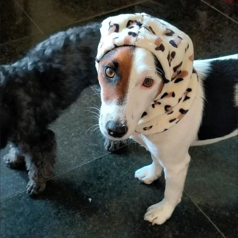 Sombrero para mascotas