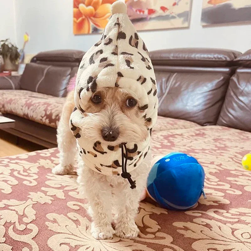 Sombrero para mascotas